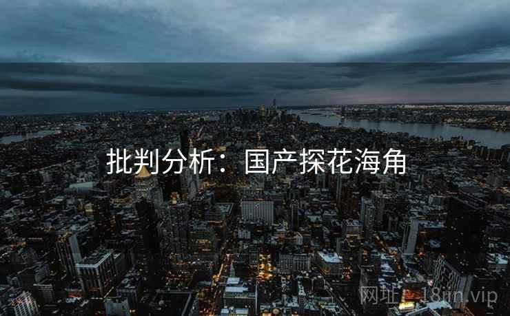 批判分析：国产探花海角