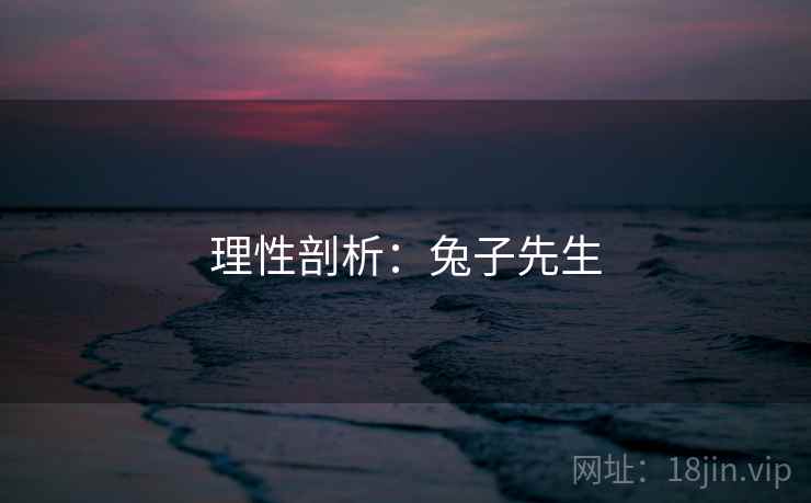 理性剖析：兔子先生