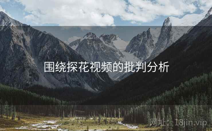 围绕探花视频的批判分析