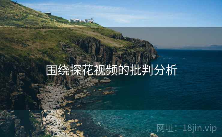 围绕探花视频的批判分析