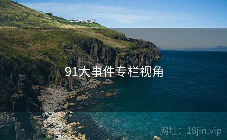 91大事件专栏视角