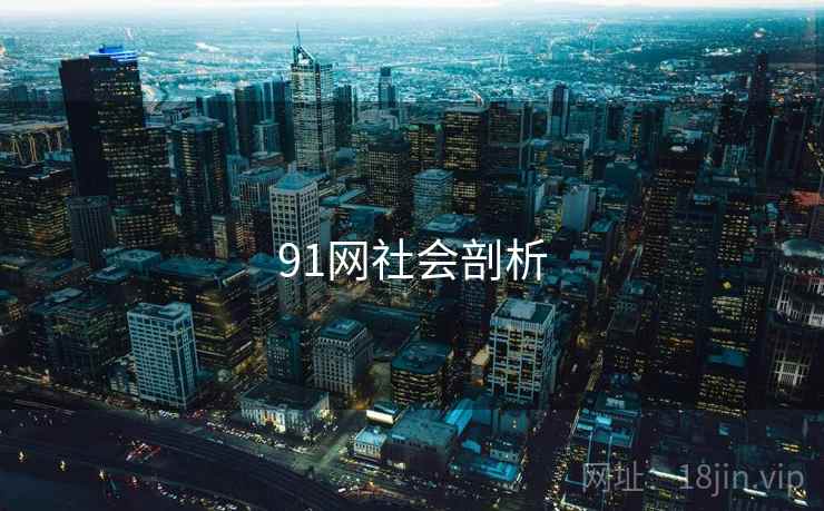 91网社会剖析