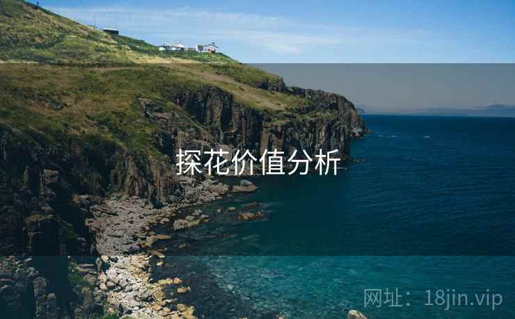 探花价值分析