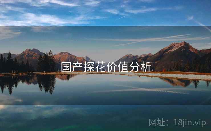 国产探花价值分析