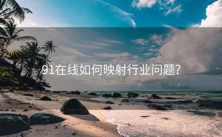 91在线如何映射行业问题？