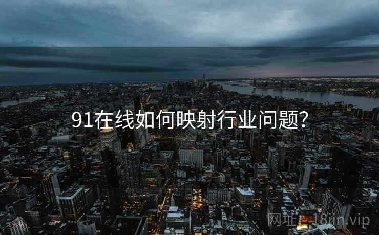 91在线如何映射行业问题？