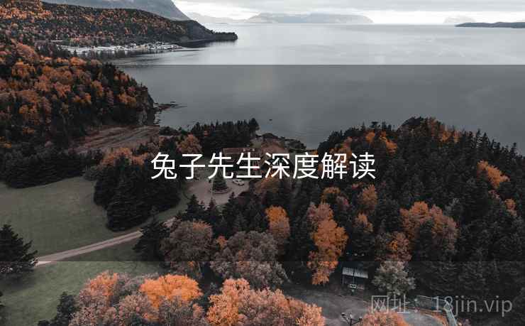 兔子先生深度解读