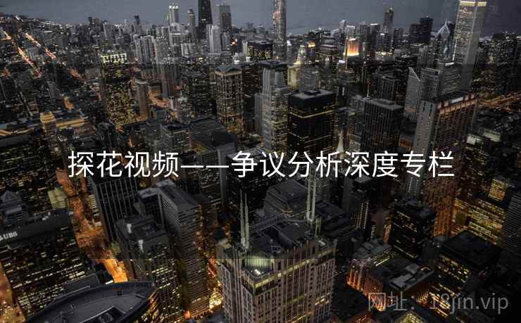 探花视频——争议分析深度专栏