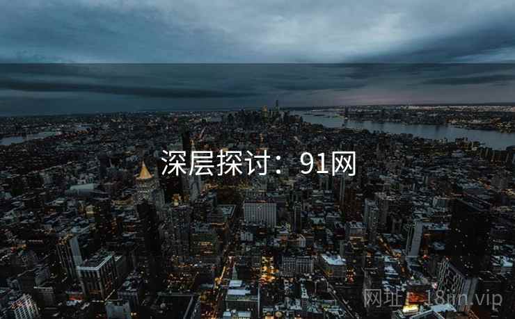 深层探讨：91网