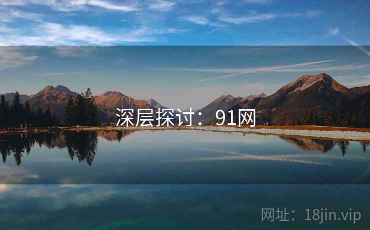 深层探讨：91网