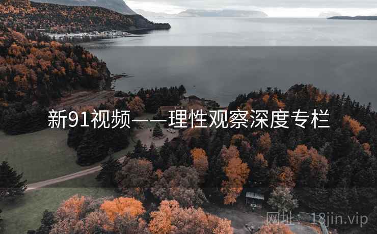 新91视频——理性观察深度专栏