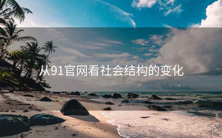 从91官网看社会结构的变化