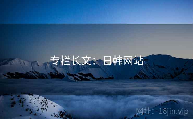 专栏长文：日韩网站