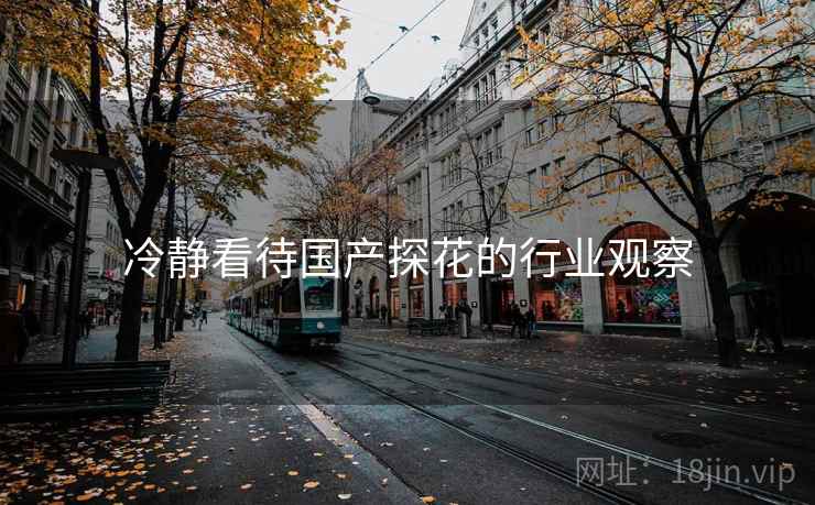冷静看待国产探花的行业观察