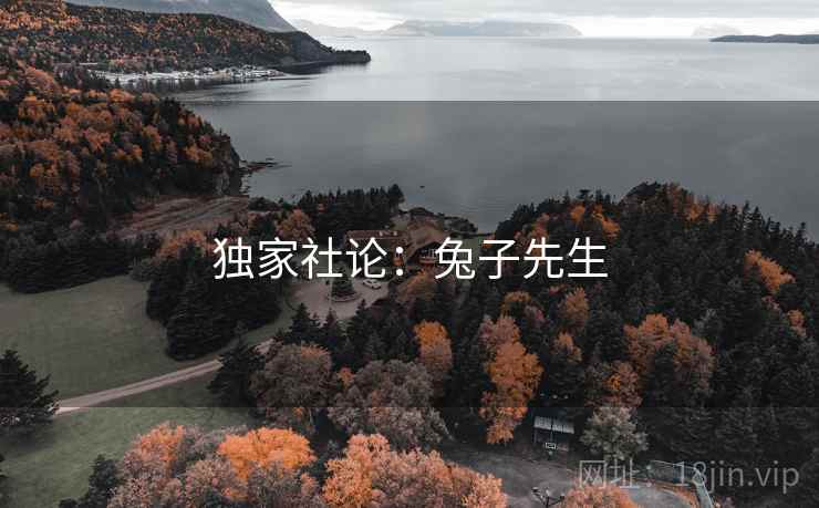 独家社论：兔子先生