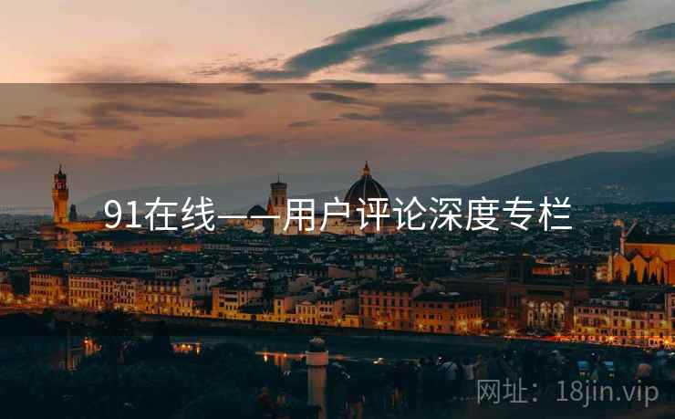 91在线——用户评论深度专栏  第2张