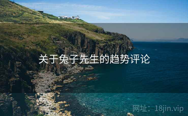 关于兔子先生的趋势评论