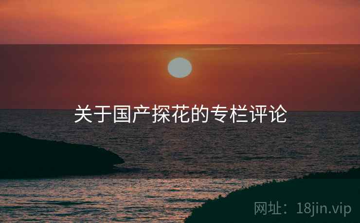 关于国产探花的专栏评论