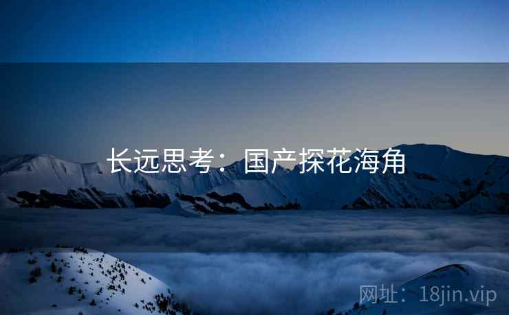 长远思考:国产探花海角
