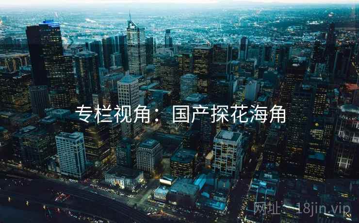 专栏视角:国产探花海角