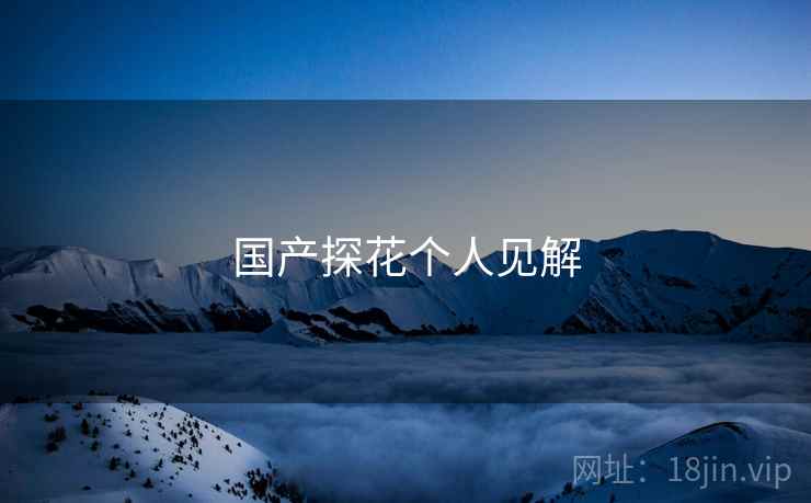 国产探花个人见解