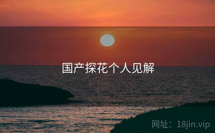 国产探花个人见解
