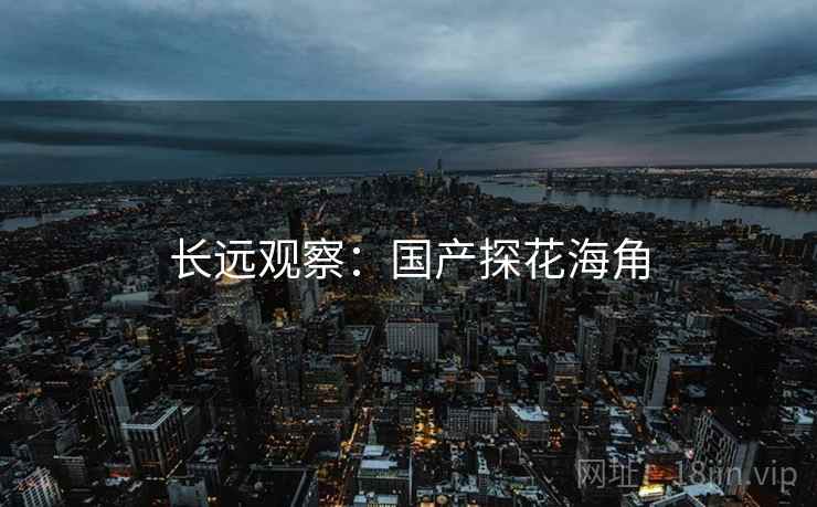 长远观察:国产探花海角