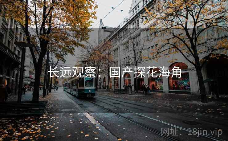 长远观察:国产探花海角