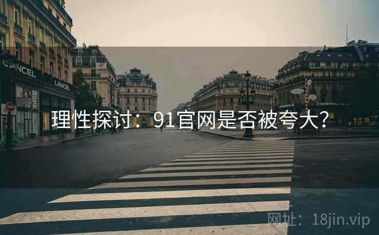 理性探讨:91官网是否被夸大?
