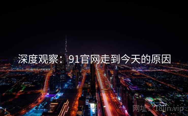 深度观察:91官网走到今天的原因