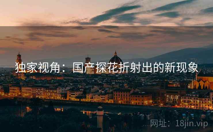 独家视角:国产探花折射出的新现象