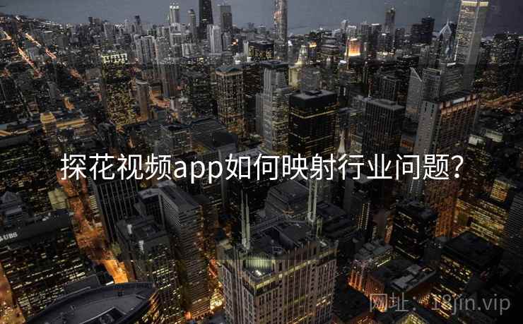 探花视频app如何映射行业问题?