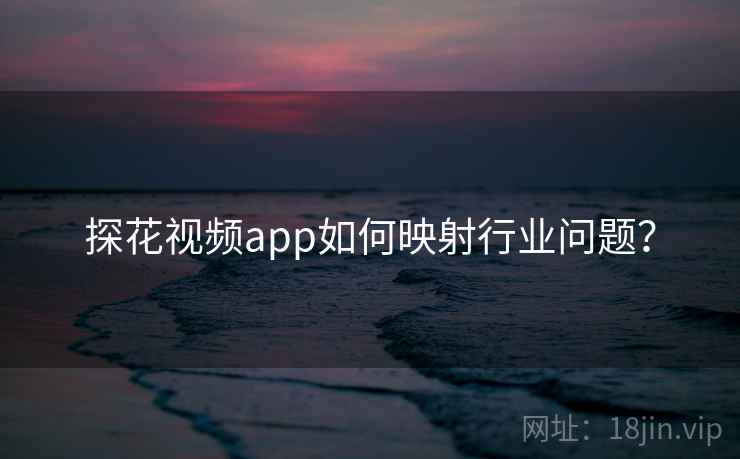 探花视频app如何映射行业问题?