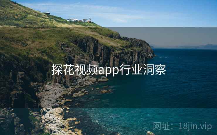 探花视频app行业洞察